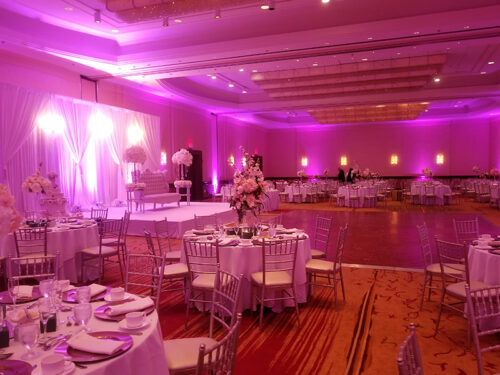 Weeding-Gallery